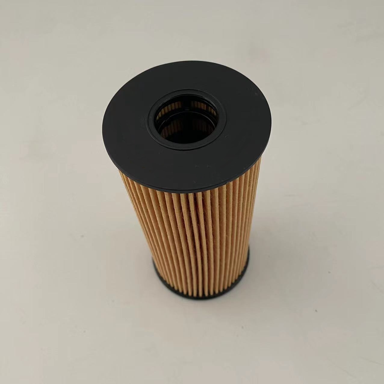 Olejové filtry 1012014-FD2301